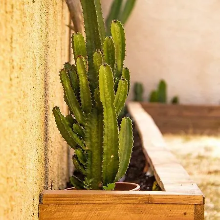 Casa Mawi Apartment Sagres Exterior photo